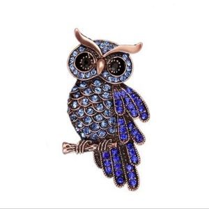 New Blue Owl Brooch